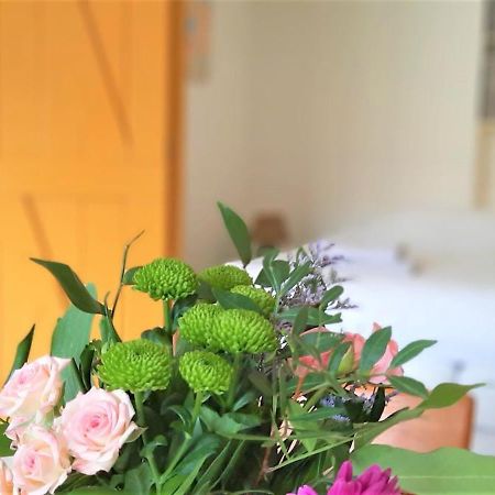 Appartement 2 Met Terras Aan De Tuin Van Op De Roemte Baflo ภายนอก รูปภาพ